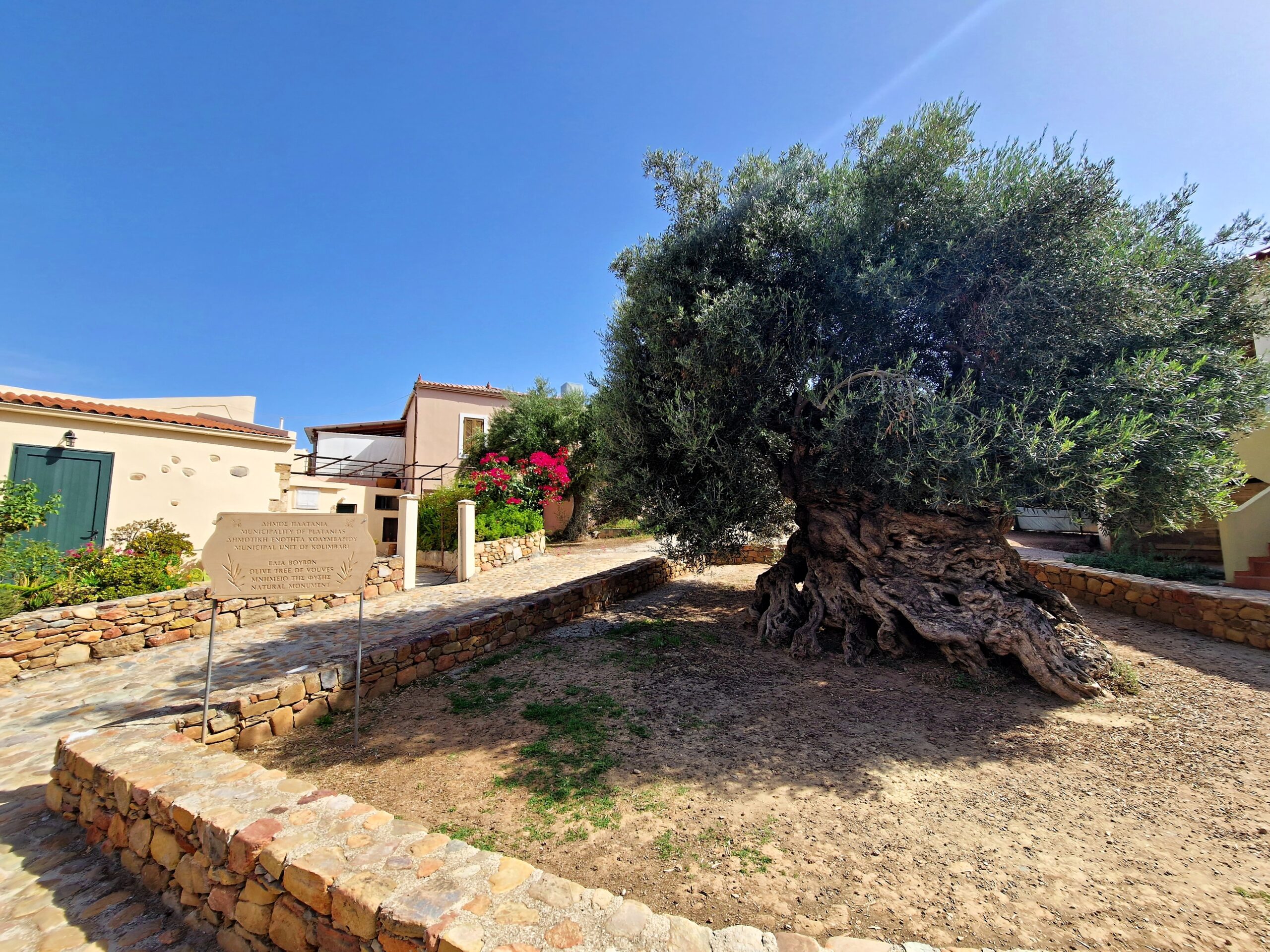 Olive Tree Museum of Vouves - All You Need to Know BEFORE You Go