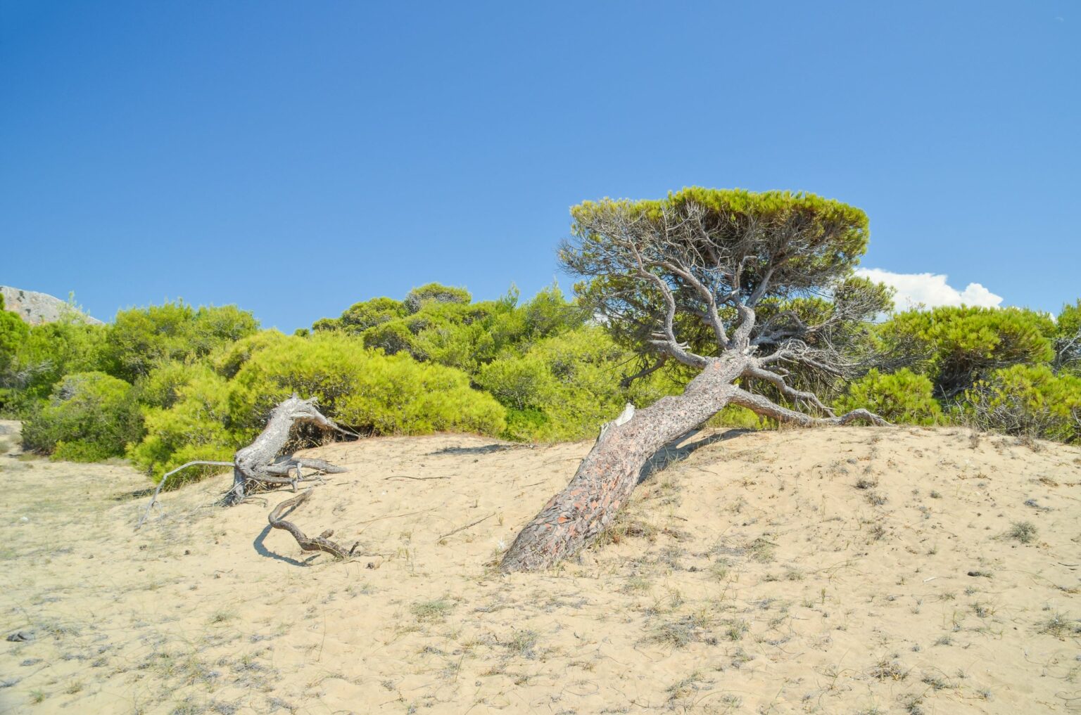 Lakkopetra: Top Activities in One of the Peloponnese's Best Spots ...