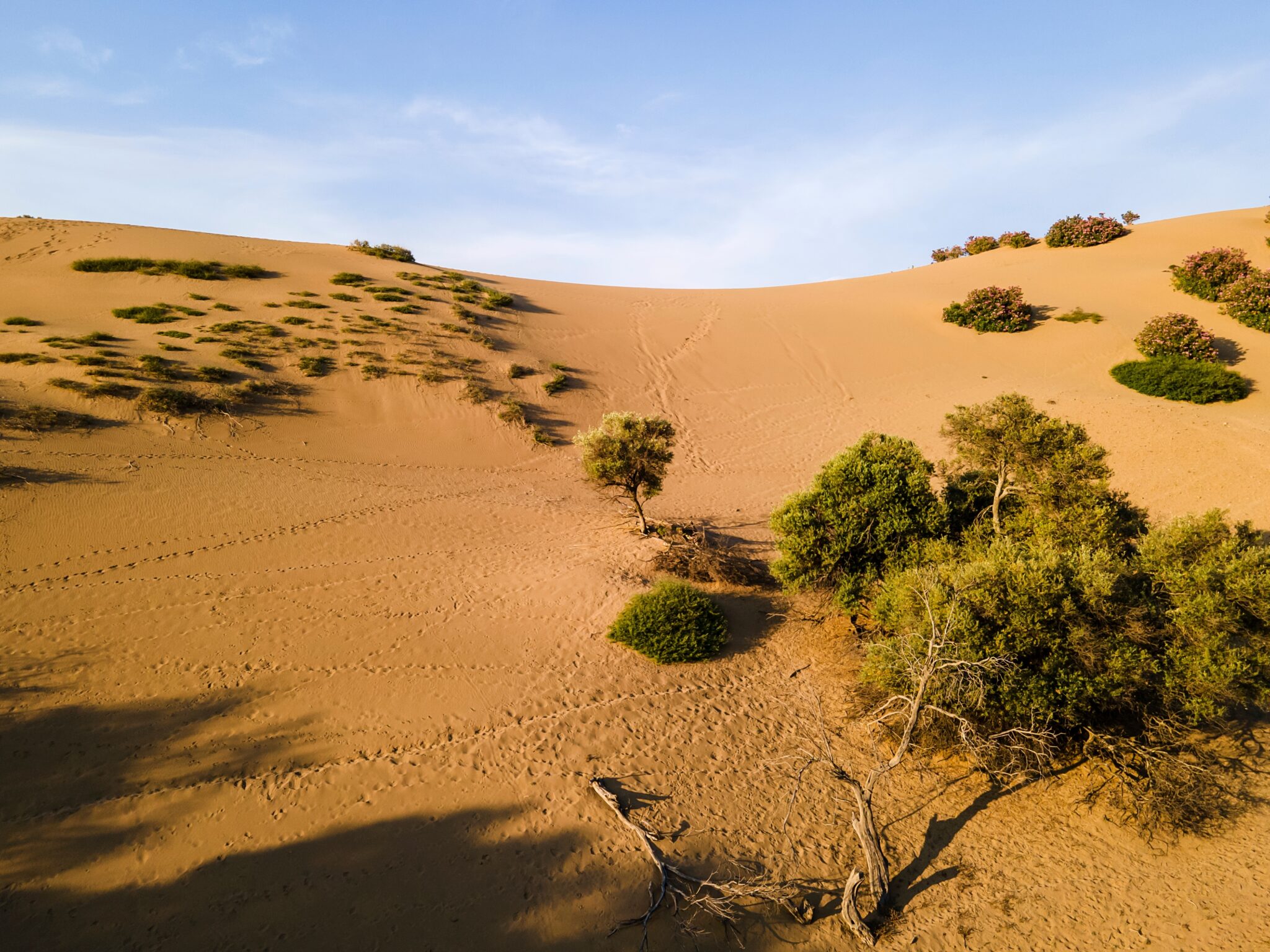 the-sand-dunes-of-limnos-a-pocket-sized-greek-sahara-desert-travel-gr