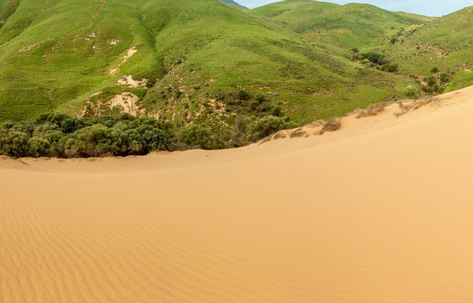 The sand dunes of Lemnos: A pocket-sized Greek sahara desert | travel.gr