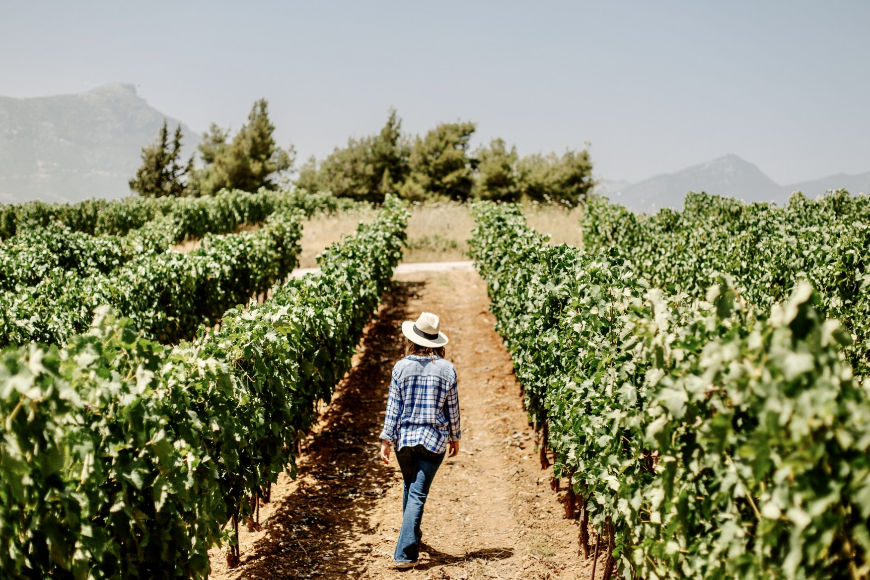 Which Greek Wine? Greece’s New Wine Stars on Tasting and Traveling | travel.gr