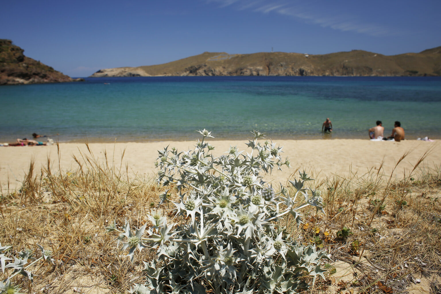 best time to visit mykonos to party